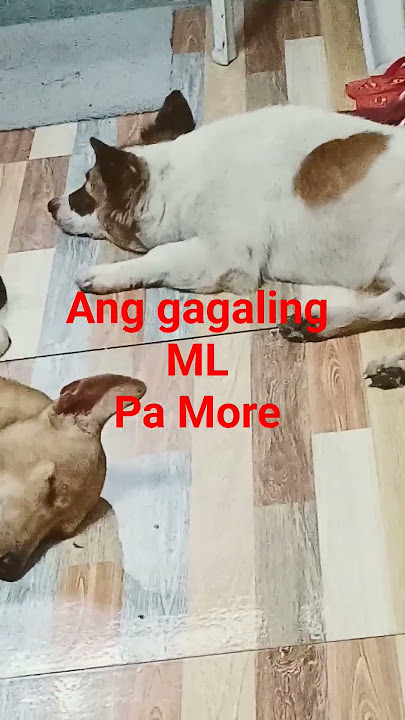 Busy sila oh OMG #shortvideo #music #enjoylife #enjoyment #trending #asmrvideo