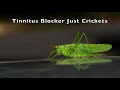 Tinnitus blocker just crickets 10 hours nature sounds