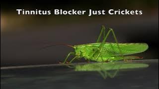 Tinnitus Blocker Just Crickets 10 Hours Nature Sounds