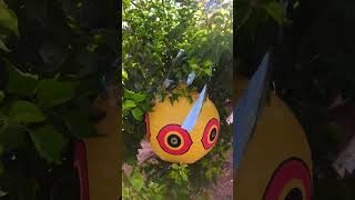 Cara Mengusir Burung dari Pohon Buah Anda #matapredator #pitarefleksi #pengusirburung #pohonbuah