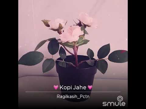 💐💐Kopi Jahe..☕☕☕🎶🎶💃💃🎶🎶💐💐