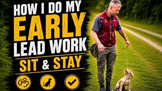 How I Teach Early Lead Work, Sit & Stay