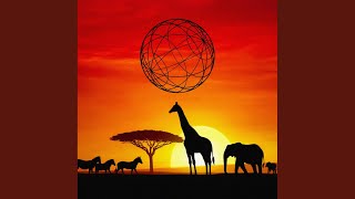 They Dont Care About Us  Afro Soul