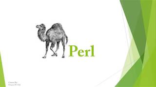 أساسيات Perl : IF Statement & User Input