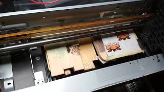 DTG UV Printer from Epson L800 P50 part 1