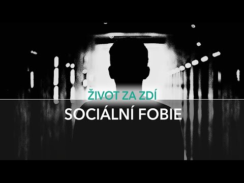 Video: Sociální Fobie: Maličkosti V životě
