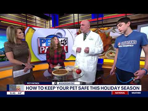 Holiday Pet Safety
