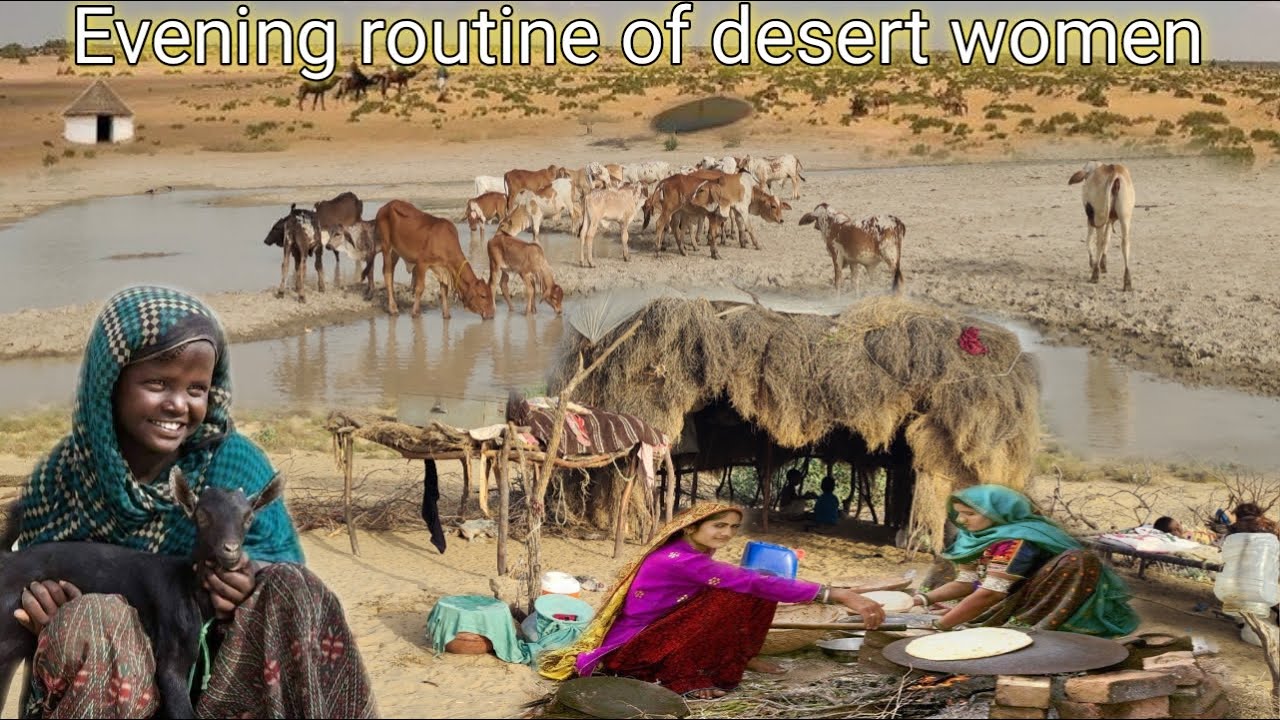 Cholistan desert | Evening routine of desert Women | Cooking unique & traditional food | pakistan