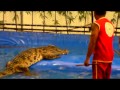 Crocodile show in thailand