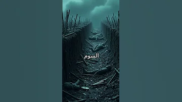 الحرب العالمية الأولى ملحمة الرعب والتضحية 