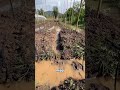 troppa acqua in campo: come risolvere il problema #mattthefarmer #orto #pioggia