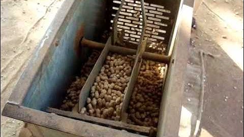 Groundnut decorticator