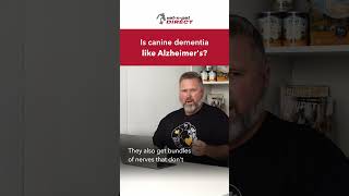 Is Canine Dementia Like Alzheimers?