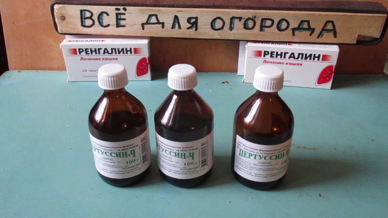 Пертуссин Аналоги Для Детей