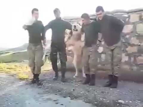 Köpek ile Halay Çeken Askerler