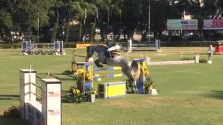 Airborne Z - 1,40 Zangersheide Argentina