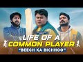 Gully cricket  life of a common player ft badri chavan  beech ka bichhoo  the timeliners