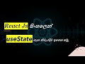 React useState | React Js Tutorials | සිංහලෙන් | Black Tiger | Sinhala