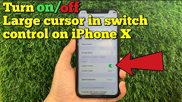 How to turn on or off large cursor in switch control on iPhone X