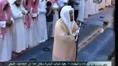 تلاوة جميلة للشيخ هاني الرفاعي