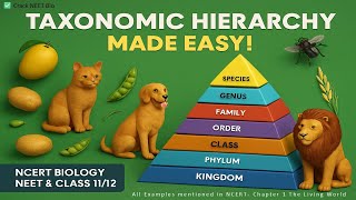 Taxonomic Hierarchy Made Easy | NCERT Biology Class 11 | NEET Preparation   #neet #biologyclass11th