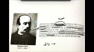 ALFONSO CORTI || SCIENTIST A MINUTE