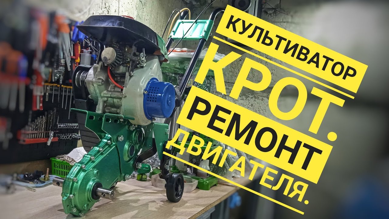  Крот. Ремонт двигателя по фэн-шую! - YouTube