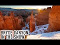 Did We Survive Sub-Zero Temperatures at Bryce Canyon? Featuring the New Sigma 20mm f/2 DG DN | C