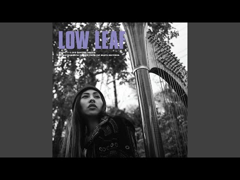 Low Leaf — Distant Feathers Coalesce