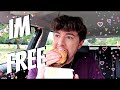 IM BACK! General Car Catch Up, Q&A & Eating :D (missed YOU!)