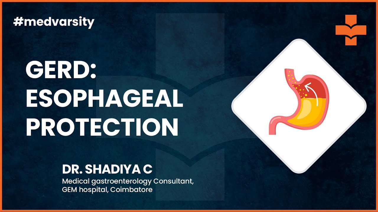 MedShorts Assimilate