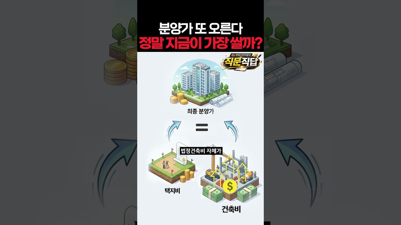 동영상 재생