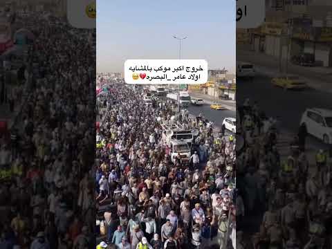 خروج اكبر موكب بالعراق اولاد عامر البصره ينادي ياحسين ستوريات حسينيه مشاية الاربعين موكب بني عامر