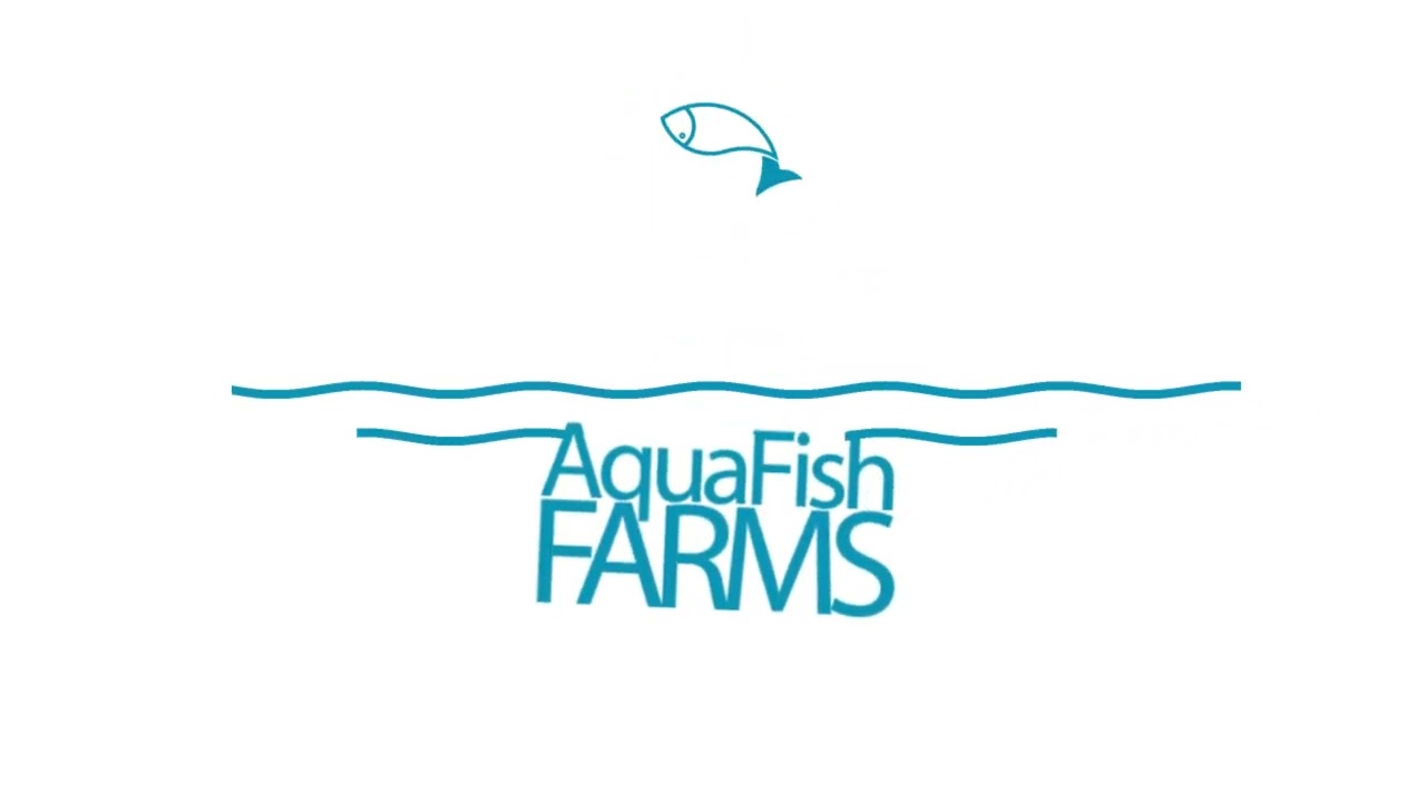 Animation logo professionnel - Création sur mesure par Gas'in Sary