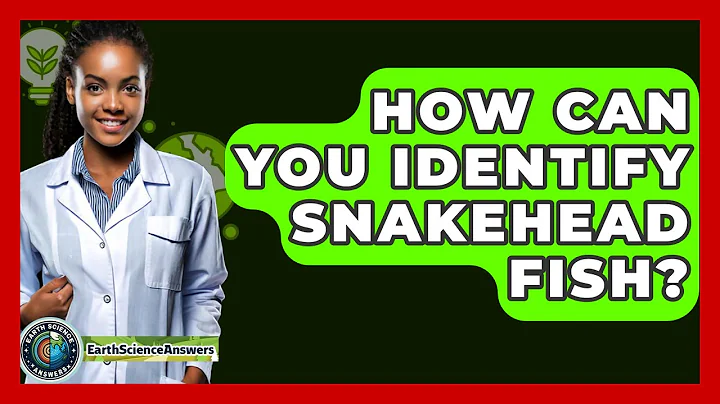 How Can You Identify Snakehead Fish? - Earth Science Answers
