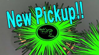 Famous Awesome New Ball Python Pickup!! Net Worth