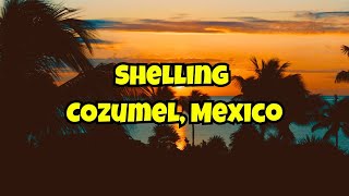 Shelling COZUMEL, Mexico's Tidal Pools 🐚