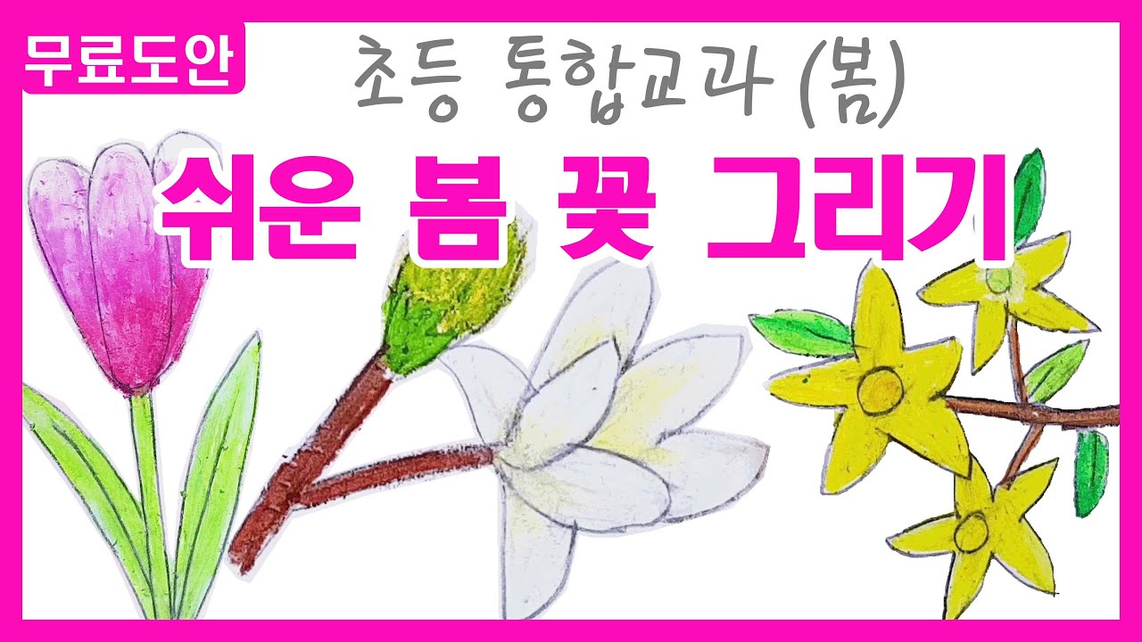 그리기#9 예비 초등부모님 필수!/통합교과 봄 - 쉬운 봄꽃 그리기/How To Draw Spring Flowers/ Coloring  For Kids/목련,개나리,튤립 그리기/도안 - Youtube