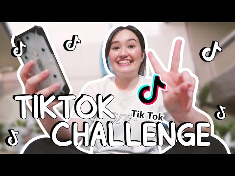 tiktok challenge: my followers control my tiktok for a day!!