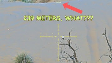 VOGELBESTRIJDING - GEKKE SCHOTEN van meer dan 200 meter in de wind