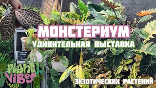 :  |    |   |  