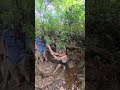 la randonnée était complètement dingue ! 🇲🇺 #travel #mauritius #ilemaurice