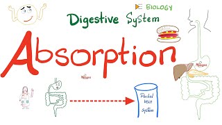 Absorption - How nutrients reach your blood - Gastrointestinal (GI) Physiology