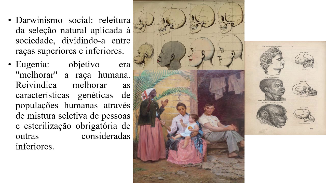 Teorias Racistas Do Século Xix - NAZAEDU