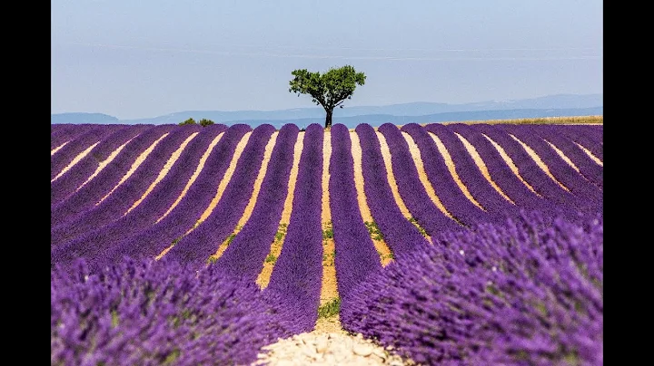 Introducing Provence & the Cte d'Azur