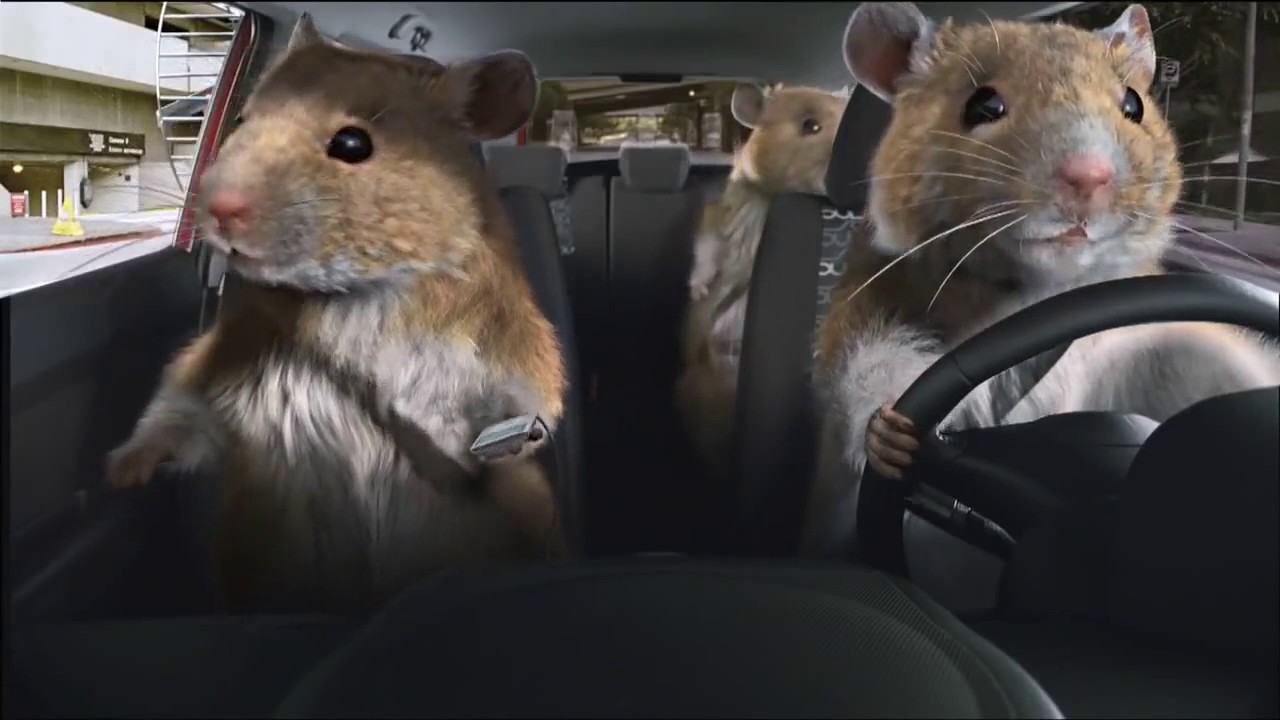 Kia Soul Hamster 2010) YouTube