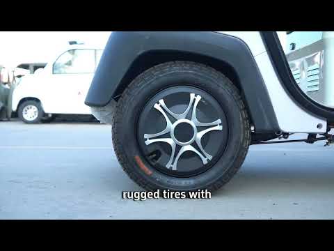 recreational Electric tricycle