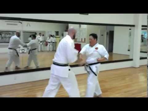 Pinan Bunkai Complex Okinawan Karate Club of Dallas