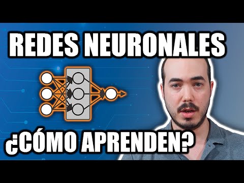 Vídeo: Com funciona una xarxa neuronal de manera senzilla?