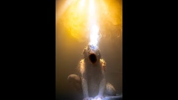 GODHEAD by Joshua Kaukl